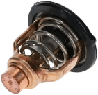 Thermostat yamaha 6GR - 6GR124110000
